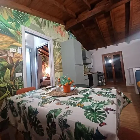 D E C A D E N C E -wine Calling! Apartamento